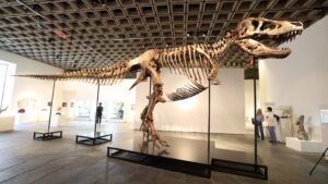 gus-tiranosaurio-rex